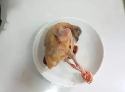 Make Pine-cooked pigeon step 1