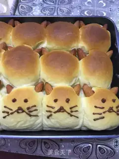 Make Catbread step 8