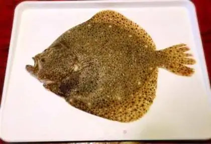 Make The fragrance of fish step 0