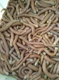 Make Garlic stench step 0