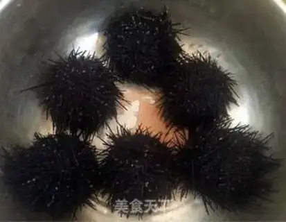 Make Sea urchins step 0