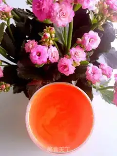 Make Apple carrot juice step 4