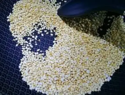 Make Korean sweet rice powdered bones step 7