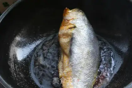 Make Big yellow fish step 3