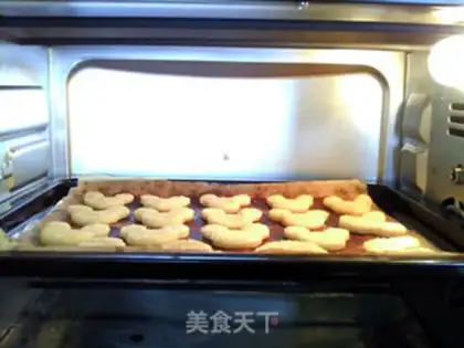 Make Uighur cookies step 11