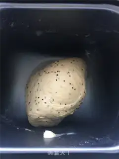 Make All-wheat-fed toast step 1