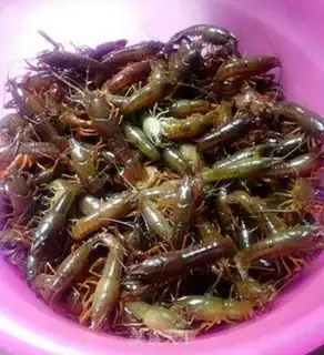 Make Spicy shrimp step 0
