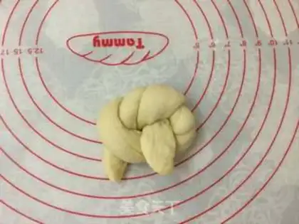 Make Apricot step 7
