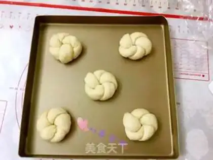 Make Apricot step 9