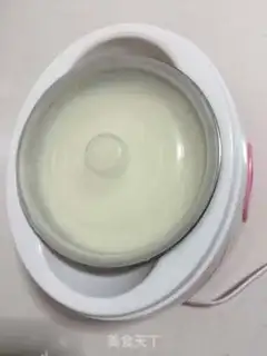 Make Yogurt step 15