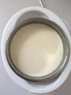 Make Yogurt step 18