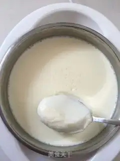 Make Yogurt step 19