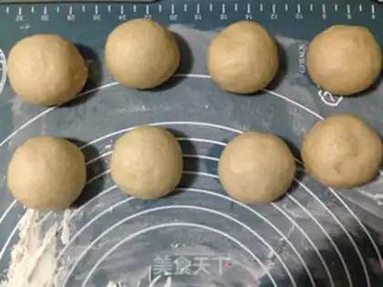Make Wheat sprouts step 4
