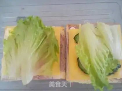 Make Vegetable sandwich step 9