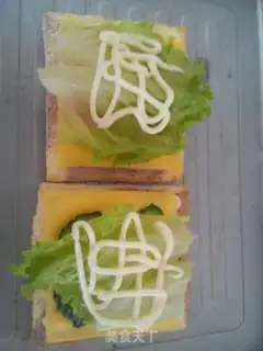Make Vegetable sandwich step 10