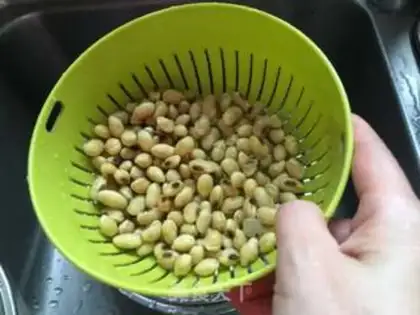 Make Soybeans step 4