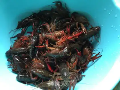 Make Pepper salt lobster step 0