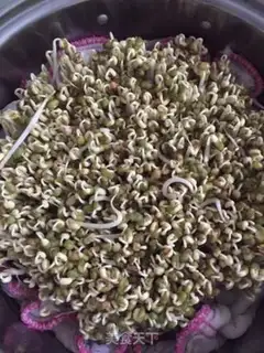 Make Green bean sprouts step 9