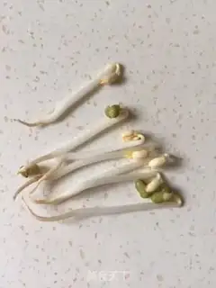 Make Green bean sprouts step 10