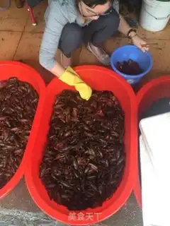 Make Spicy lobster step 0