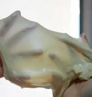 Make Pine yogurt step 2