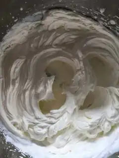 Make Olio makes ice cream step 6