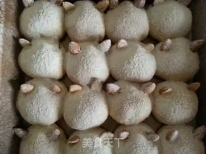 Make Squeeze cat bread step 8