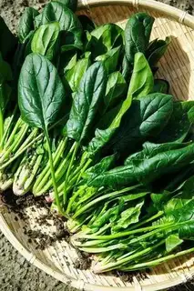 Make Spinach buns step 3