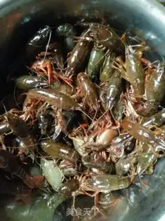 Make Lobster step 0
