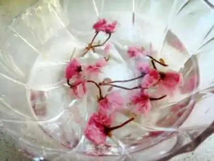 Make Sakura cheesecake step 2