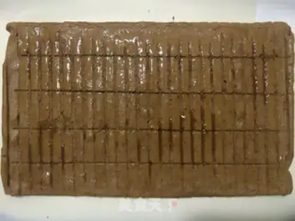 Make A giraffe cake roll step 14