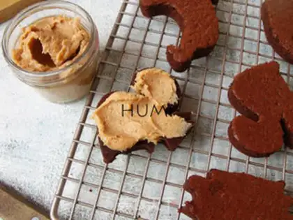Make Animal chocolate cake step 8