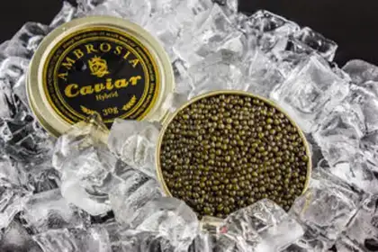 Make Caviar shrimp salad step 1