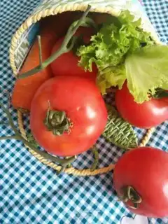 Make Tomato fried eggs step 5