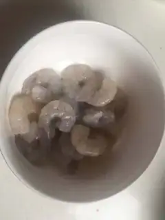 Make Shrimp step 0
