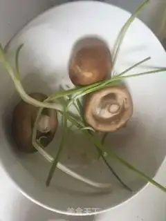 Make Shrimp step 2