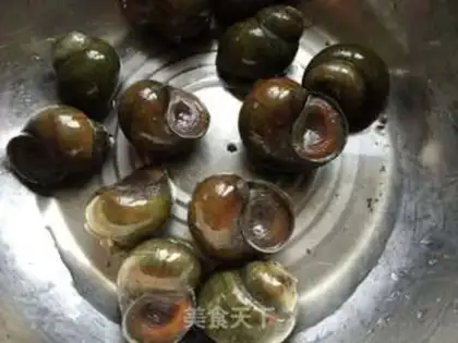 Make Snails step 0