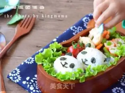 Make Panda lunch step 10