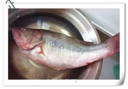 Make Vacuate herring step 0
