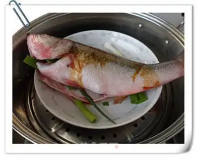 Make Vacuate herring step 5