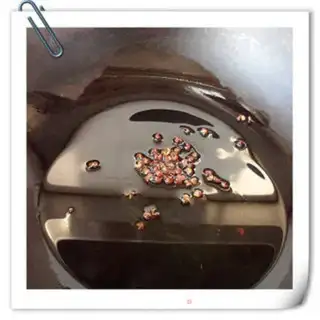 Make Vacuate herring step 7