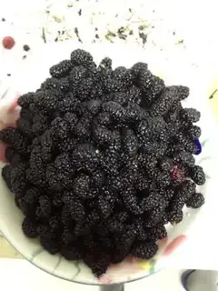 Make Sancho jam step 0