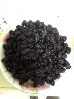 Make Sancho jam step 1