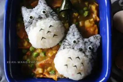 Make The Dragon Puss of Curry step 10