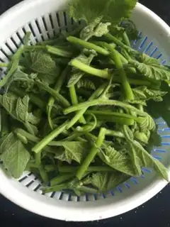Make Clear the pumpkin vine step 2