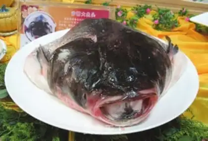 Make The big fish head of the lake step 0