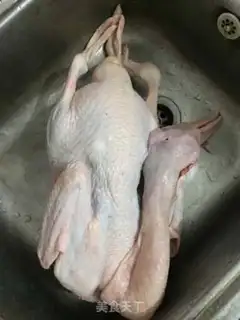 Make Pond duck step 1