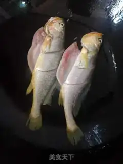Make Fry the little yellowfish step 1