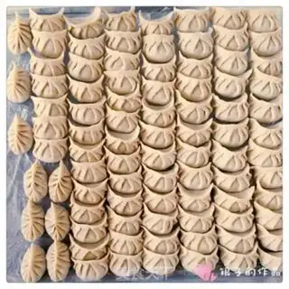 Make Sphinx pork dumplings step 9