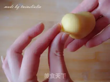 Make Chicken step 10